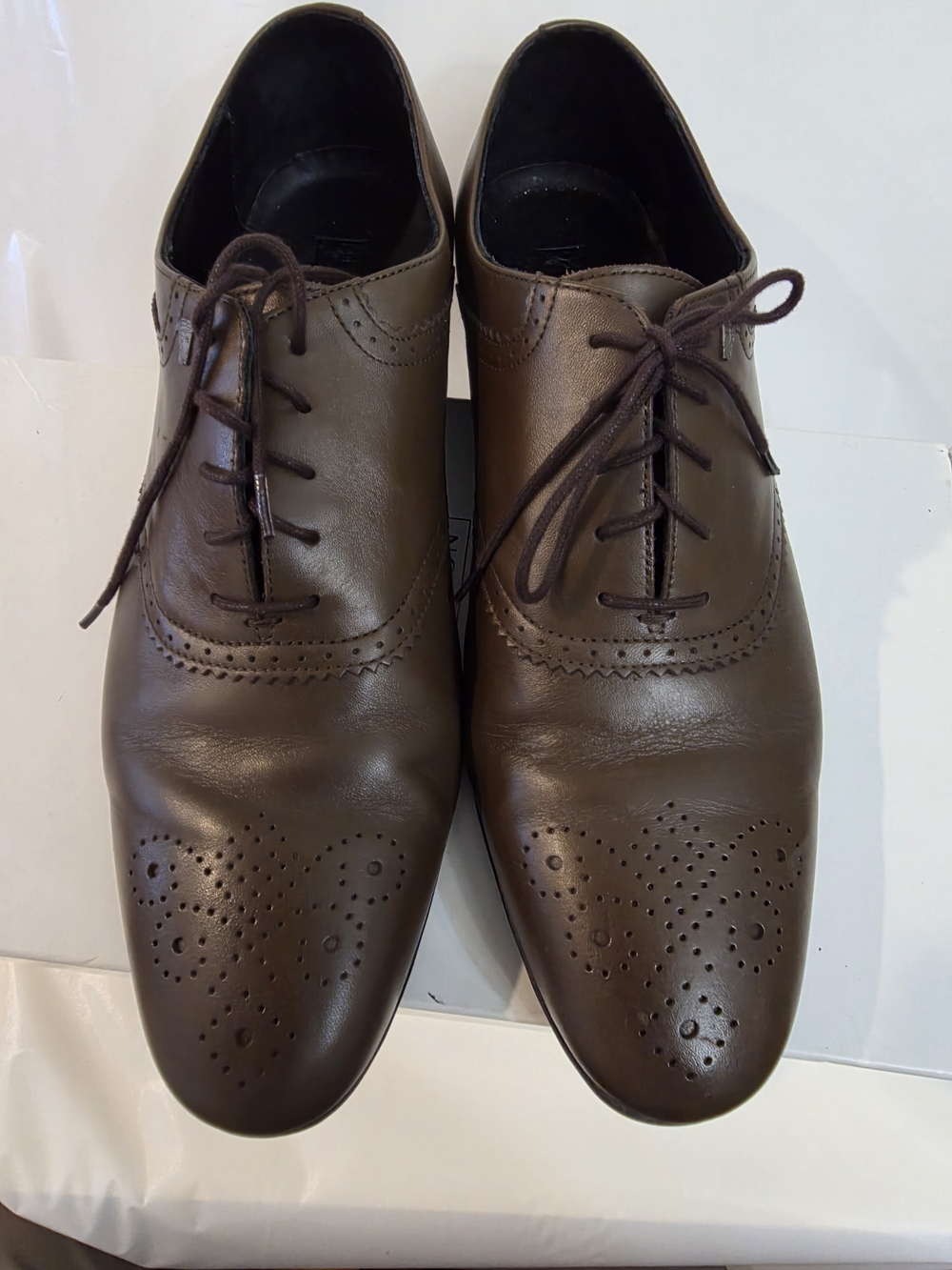 Versace Brown Leather Wingtip Oxfords